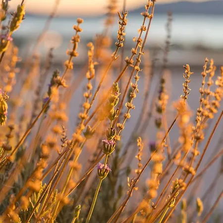 아파트 Petra Mini Pool 아다마스