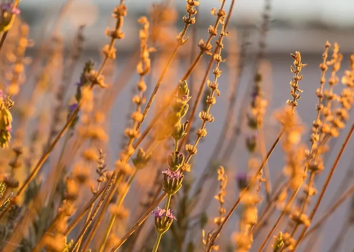 Apartamento Petra Mini Pool Adamantas (Milos)